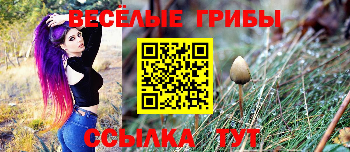 Галлюциногенные грибы Cubensis  хочу наркоту  Ногинск  Псилоцибиновые грибы Psilocybine cubensis  Вход с VPN 